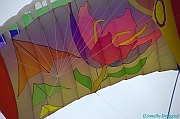 RIMINI 2012 - 081